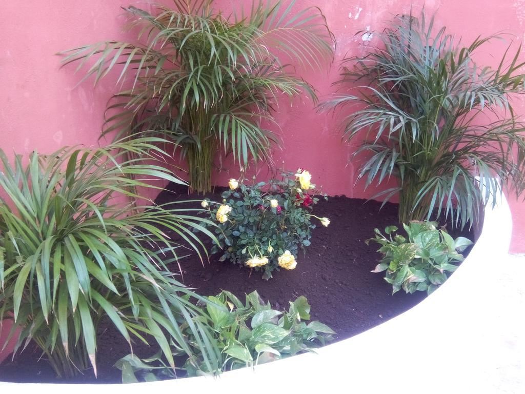 Casa Mazejuwi Hotel Campeche Eksteriør billede