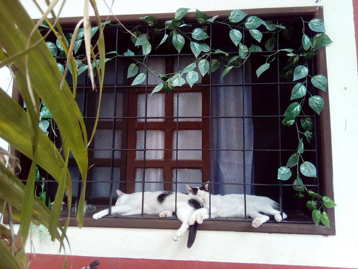 Casa Mazejuwi Hotel Campeche Eksteriør billede